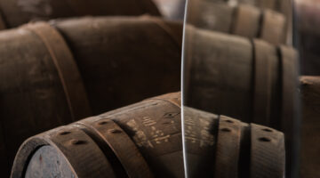 Cu Bocan - barrel reflection 1.jpg